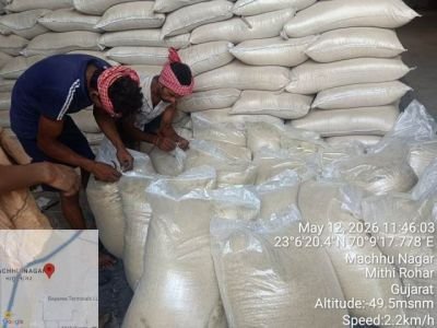 Damaged Stock of Rice
